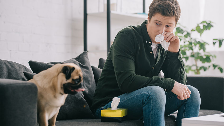 Installing an air purifier is one of the top methods to enhance your residence’s indoor air quality. Learn more about the three best solutions. 