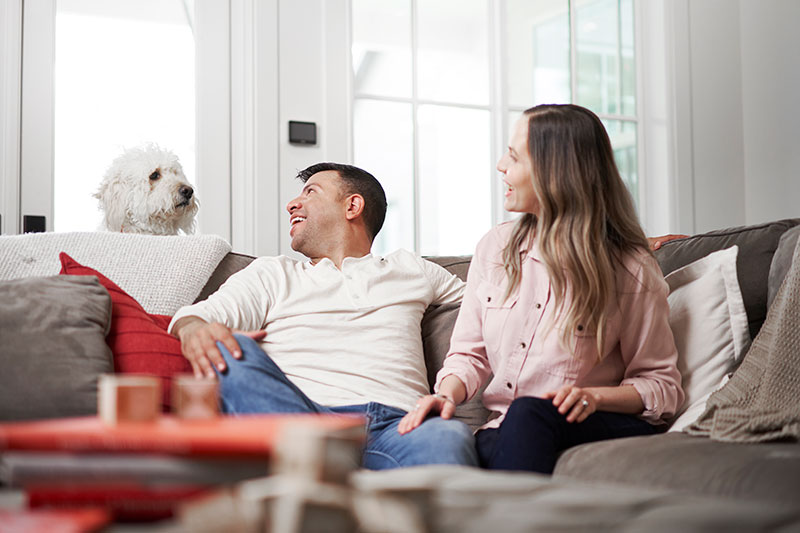 How Come Air Purifiers Help with Allergies?